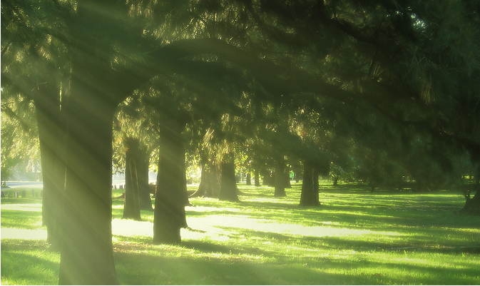Recyclable and environmentally responsible materials